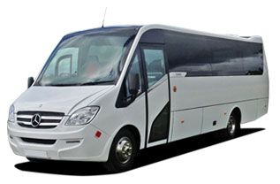 Mini Bus Transportation to Port Canaveral